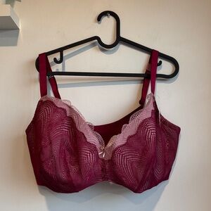 Cacique Lace Wine Bra